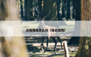 云指建站怎么玩（指云游戏）