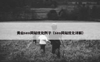 黄山seo网站优化例子（seo网站优化详解）