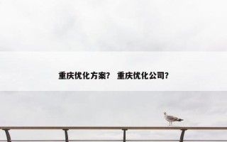 重庆优化方案？ 重庆优化公司？
