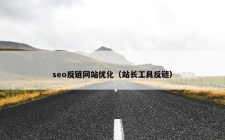 seo反链网站优化（站长工具反链）