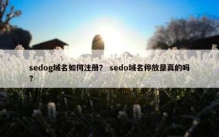 sedog域名如何注册？ sedo域名停放是真的吗？