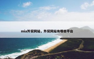mia外贸网站，外贸网站有哪些平台