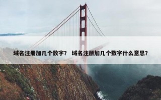 域名注册加几个数字？ 域名注册加几个数字什么意思？