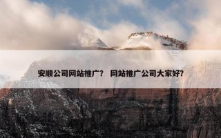 安顺公司网站推广？ 网站推广公司大家好？
