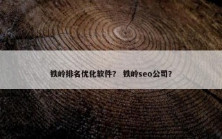 铁岭排名优化软件? 铁岭seo公司? 铁岭排名优化软件? 铁岭seo公司?
