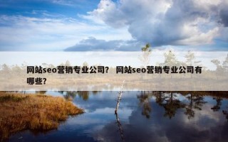 网站seo营销专业公司？ 网站seo营销专业公司有哪些？