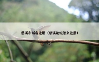 慈溪市域名注册（慈溪论坛怎么注册）