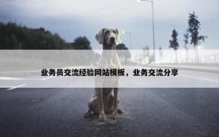 业务员交流经验网站模板，业务交流分享