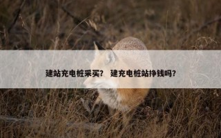 建站充电桩采买? 建充电桩站挣钱吗? 建站充电桩采买? 建充电桩站挣钱吗?