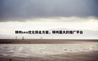 柳州seo优化排名方案，柳州最大的推广平台