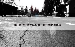 推广优化只选w火27星，推广优化怎么做
