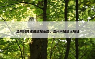 温州网站建设建站系统，温州网站建设项目