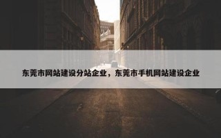 东莞市网站建设分站企业，东莞市手机网站建设企业