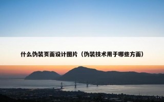什么伪装页面设计图片（伪装技术用于哪些方面）