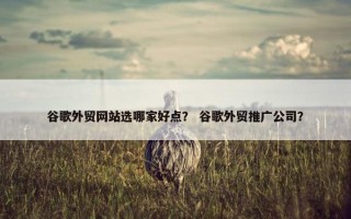谷歌外贸网站选哪家好点？ 谷歌外贸推广公司？