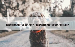 网站制作推广运营公司? 网站制作推广运营公司名称? 网站制作推广运营公司? 网站制作推广运营公司名称?