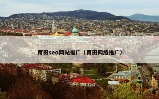 莆田seo网站推广（莆田网络推广）