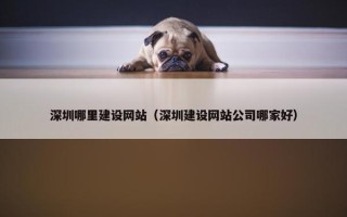 深圳哪里建设网站（深圳建设网站公司哪家好）
