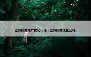 江苏网站推广优化代理（江苏网站优化公司）