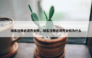 域名注册必须齐全吗，域名注册必须齐全吗为什么