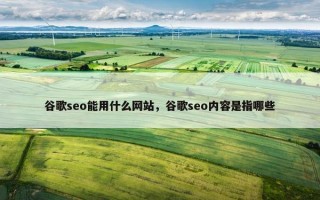 谷歌seo能用什么网站，谷歌seo内容是指哪些