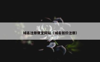 域名注册便宜网站（域名低价注册）