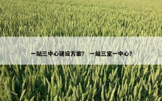 一站三中心建设方案？ 一站三室一中心？