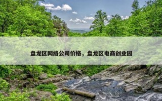 盘龙区网络公司价格，盘龙区电商创业园