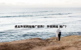 虎丘外贸网站推广软件？ 外贸网站 推广？