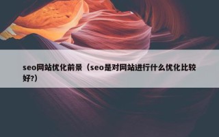 seo网站优化前景（seo是对网站进行什么优化比较好?）