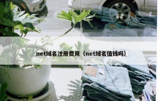 net域名注册费用（net域名值钱吗）