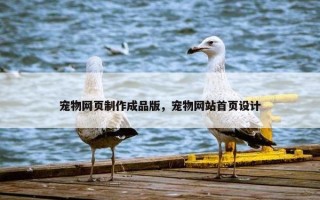 宠物网页制作成品版，宠物网站首页设计