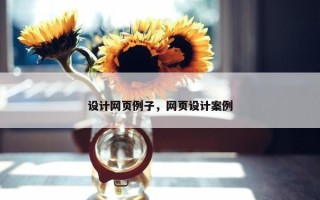 设计网页例子，网页设计案例