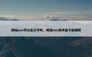 网站seo可以自己学吗，网站seo技术能不能赚钱