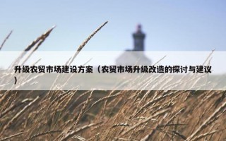 升级农贸市场建设方案（农贸市场升级改造的探讨与建议）
