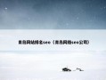 青岛网站排名seo（青岛网络seo公司）