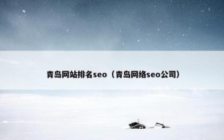 青岛网站排名seo（青岛网络seo公司）