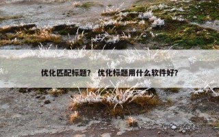 优化匹配标题？ 优化标题用什么软件好？