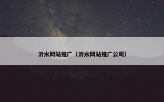 沂水网站推广（沂水网站推广公司）