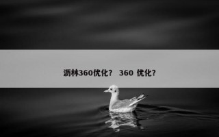沥林360优化？ 360 优化？