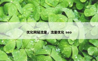 优化网站流量，流量优化 seo
