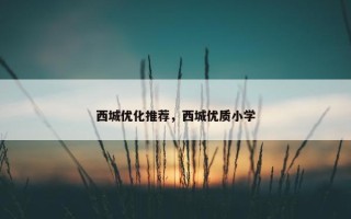 西城优化推荐，西城优质小学