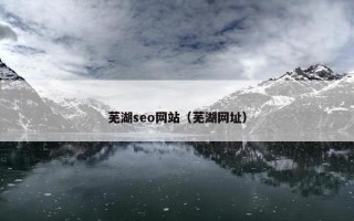 芜湖seo网站（芜湖网址）