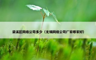 梁溪区网络公司多少（无锡网络公司厂家哪家好）
