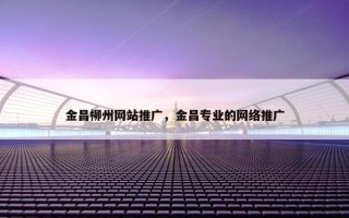 金昌柳州网站推广，金昌专业的网络推广