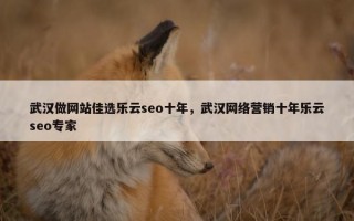 武汉做网站佳选乐云seo十年，武汉网络营销十年乐云seo专家