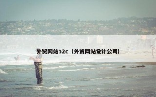 外贸网站b2c（外贸网站设计公司）