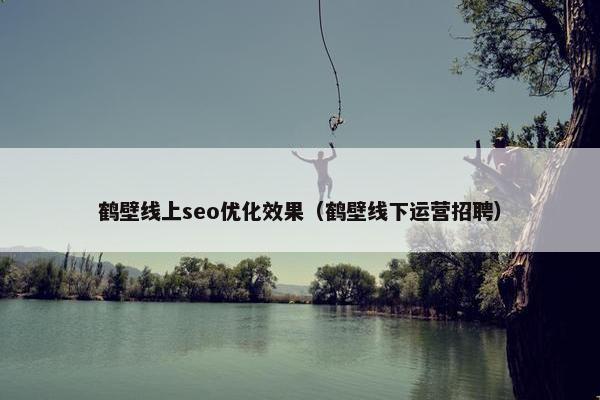 鹤壁线上seo优化效果（鹤壁线下运营招聘）-第1张图片-冷动云