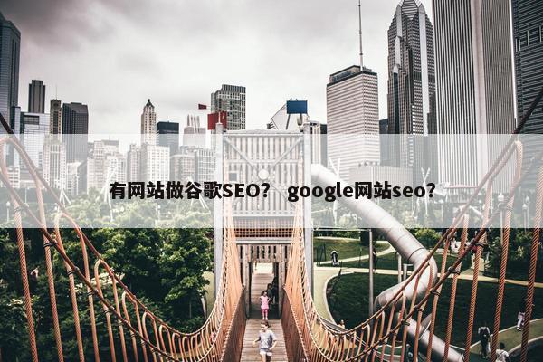 有网站做谷歌SEO？ google网站seo？-第1张图片-冷动云