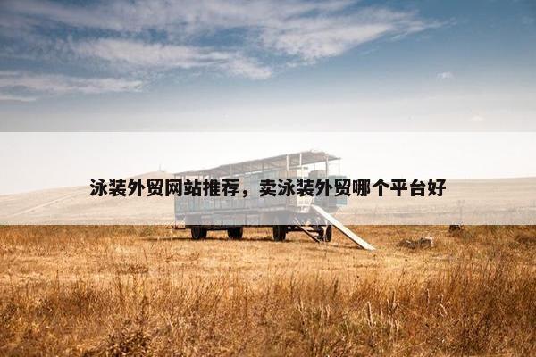 泳装外贸网站推荐，卖泳装外贸哪个平台好-第1张图片-冷动云
